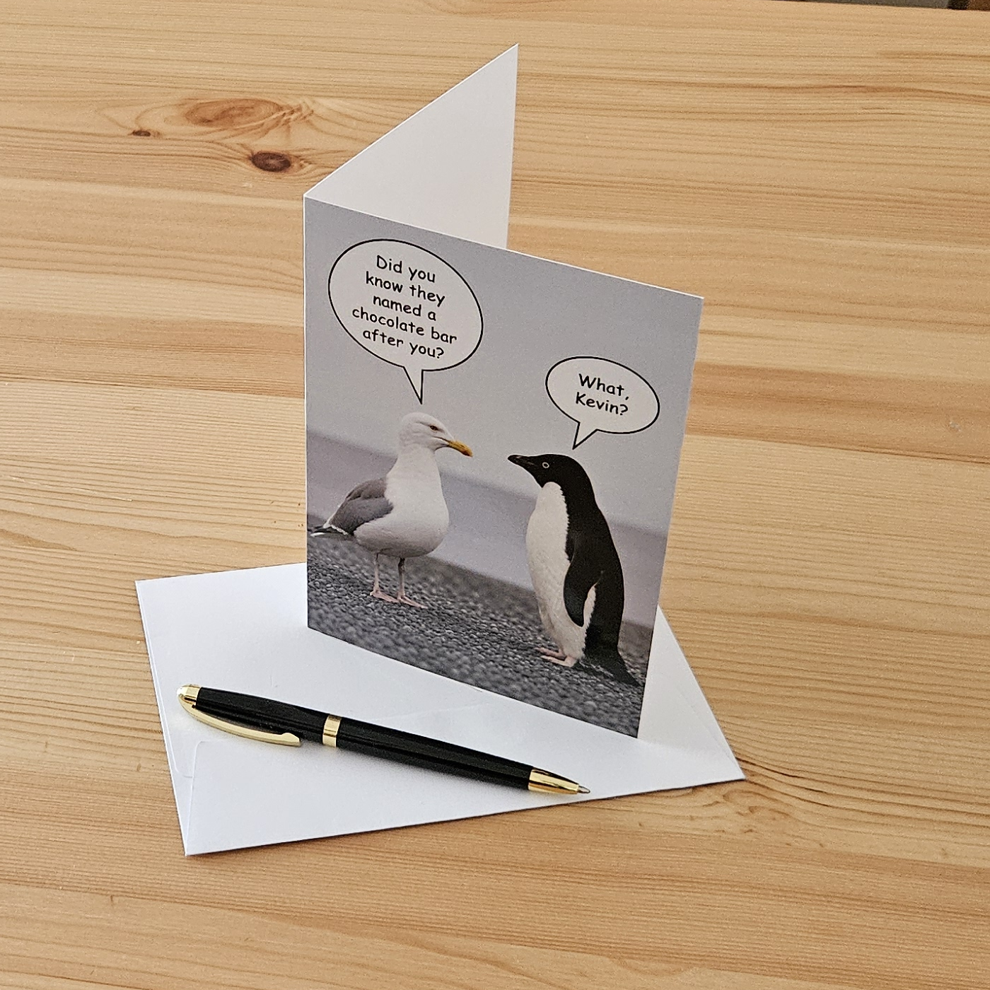 Seagull & Penguin