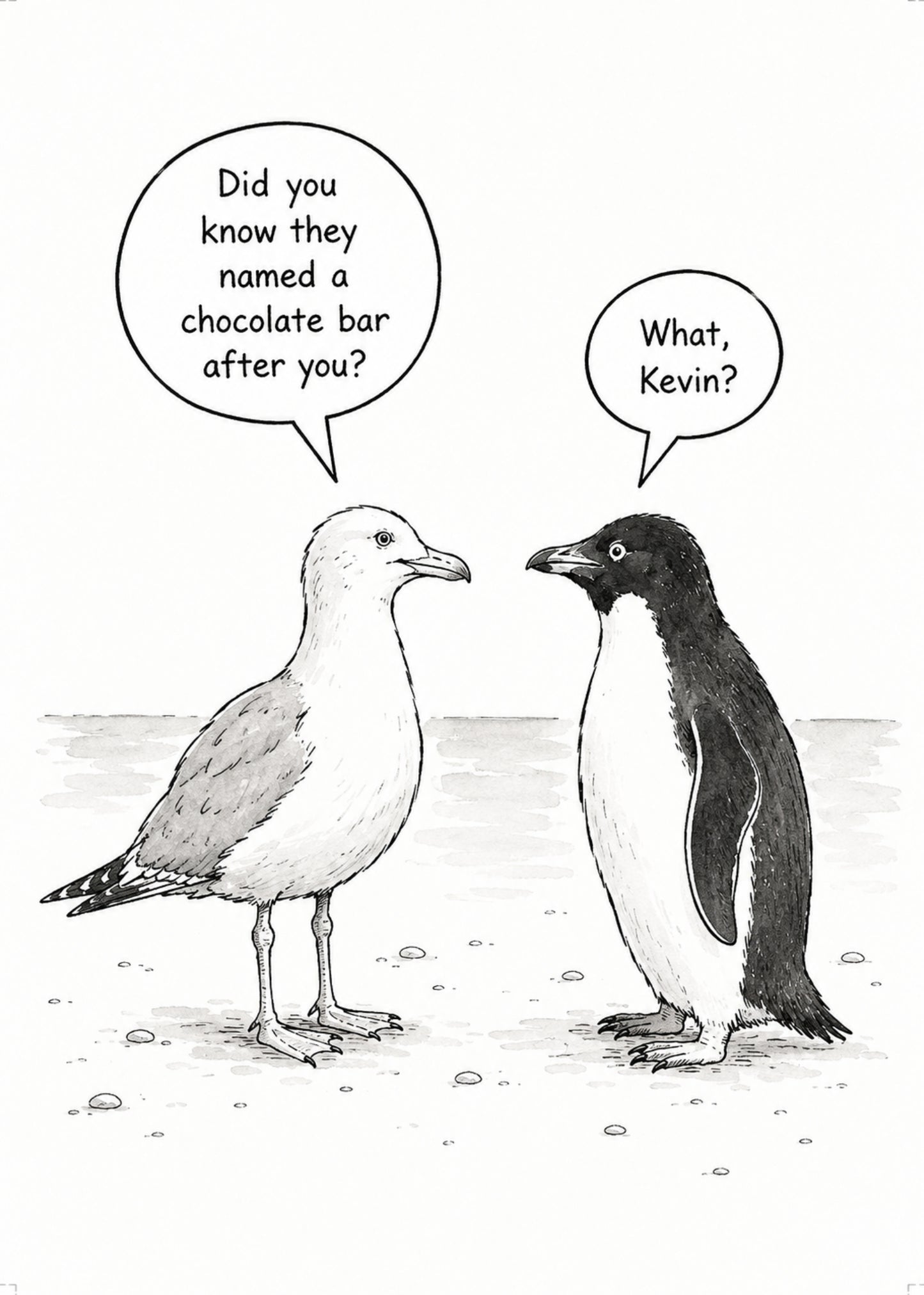 Seagull & Penguin